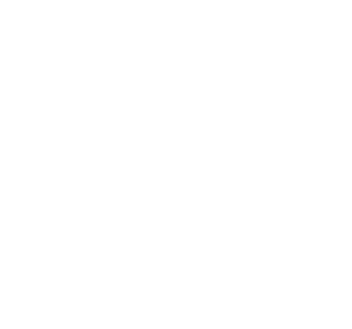 Naked Noodle
